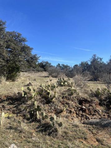 307 Sagebiel Ranch Road Fredericksburg TX 78624
