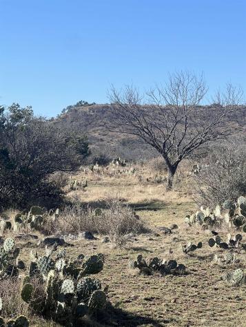 307 Sagebiel Ranch Road Fredericksburg TX 78624