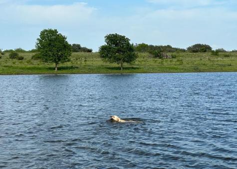7800 County Road 210 Bertram TX 78605