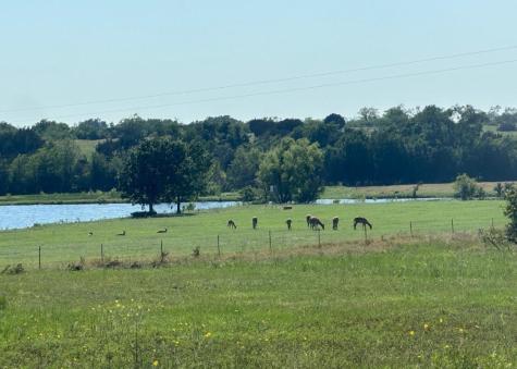7800 County Road 210 Bertram TX 78605
