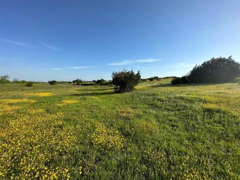 7800 County Road 210 Bertram TX 78605