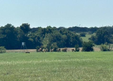 7800 County Road 210 Bertram TX 78605
