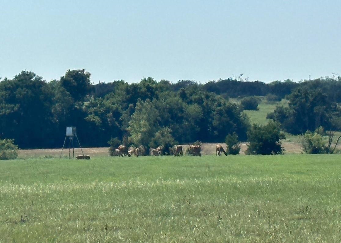 7800 County Road 210 Bertram TX 78605