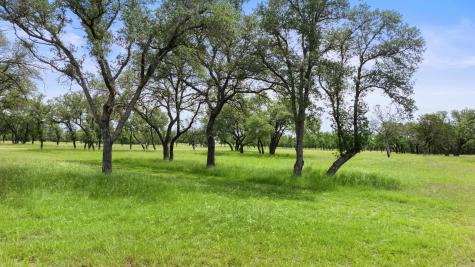 1241 Sandy Oaks Ranch Road Johnson City TX 78636
