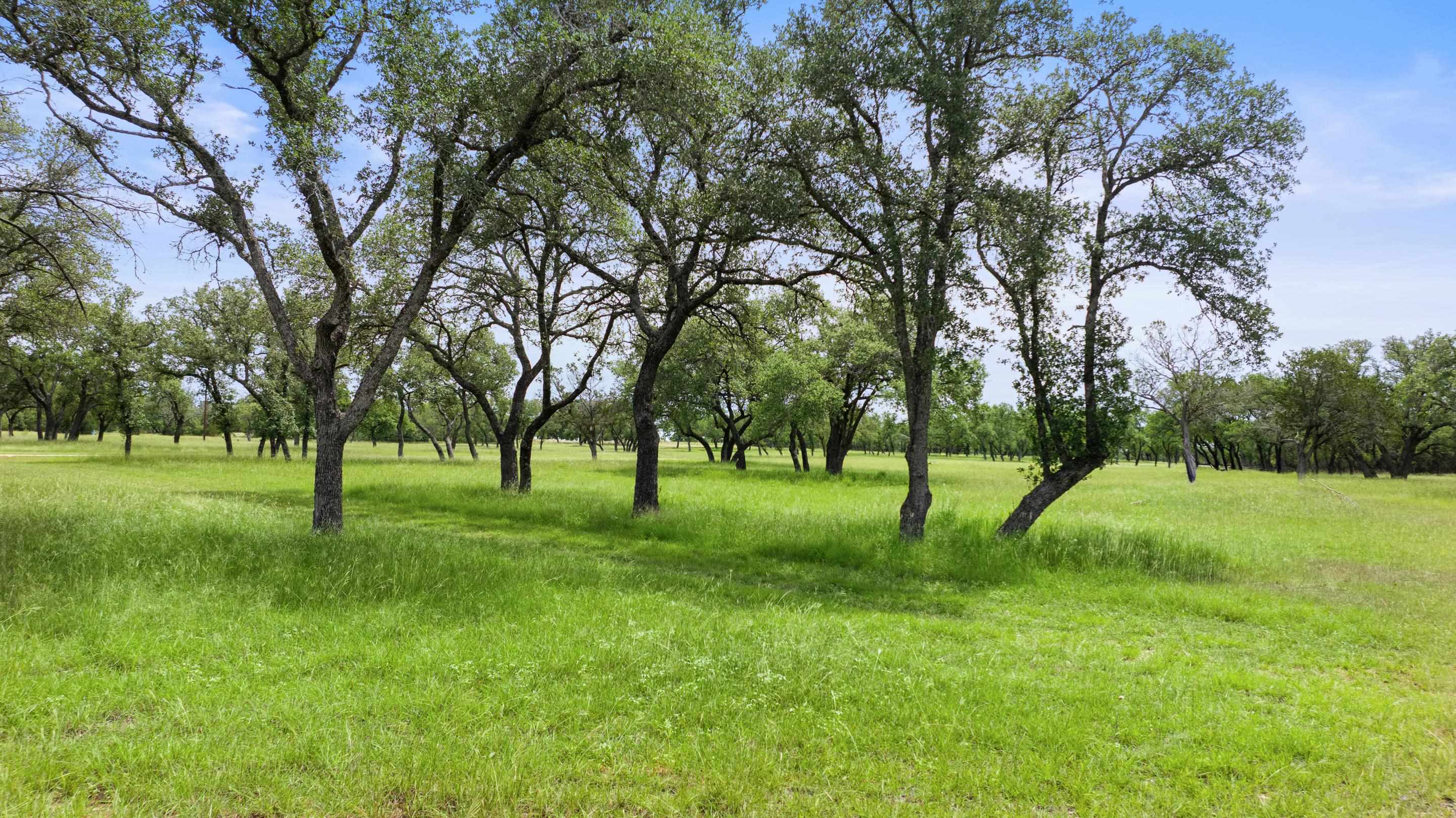 1241 Sandy Oaks Ranch Road Johnson City TX 78636