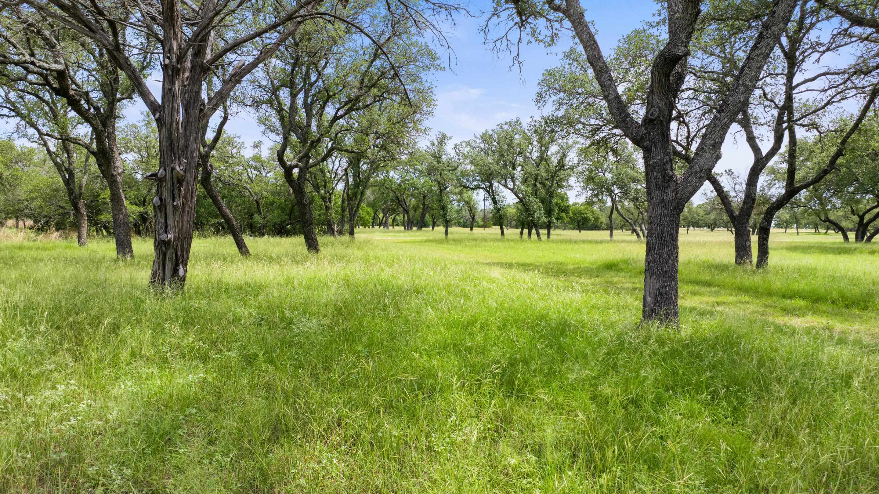 1241 Sandy Oaks Ranch Road Johnson City TX 78636