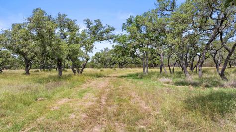 1241 Sandy Oaks Ranch Road Johnson City TX 78636
