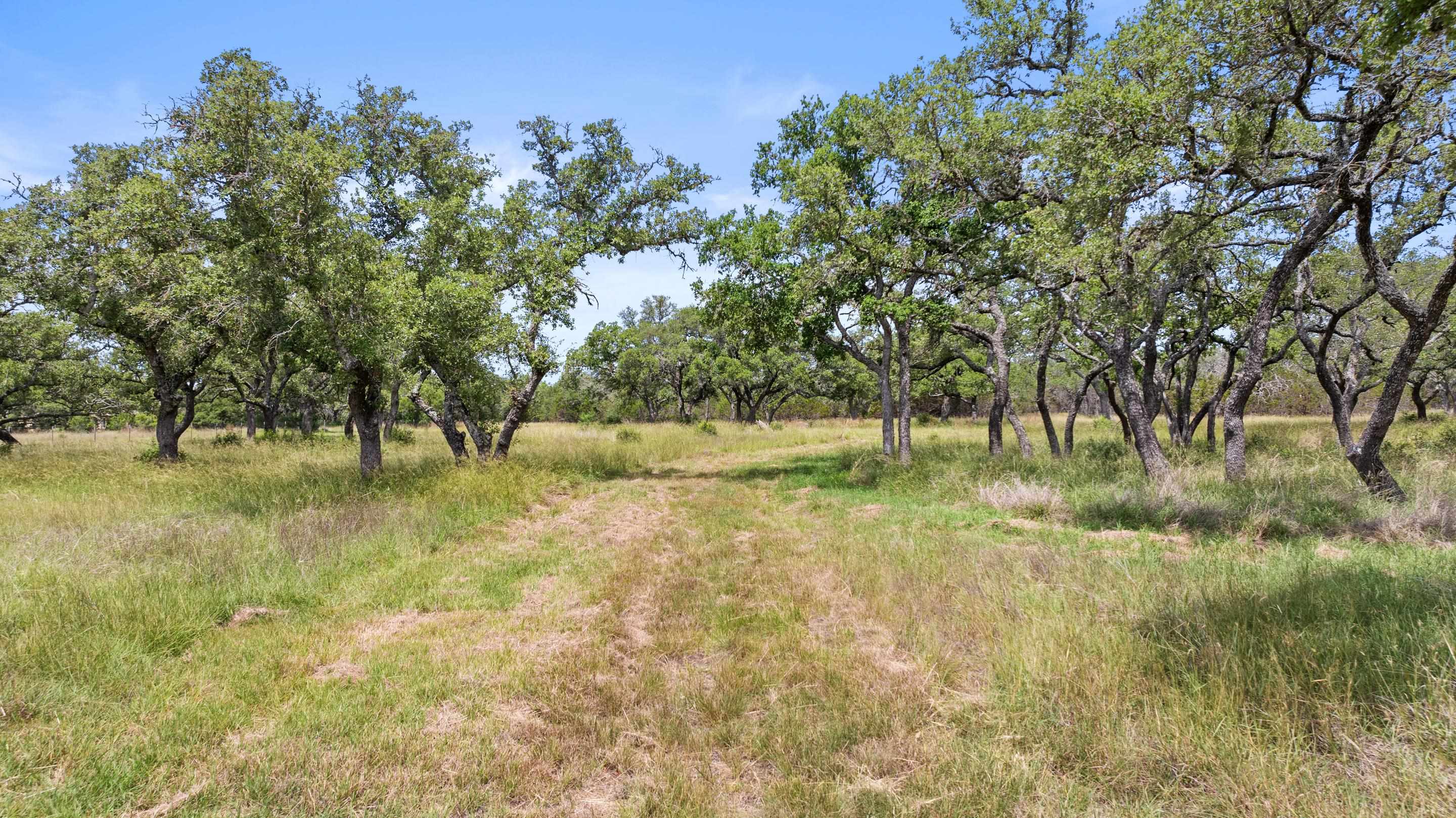 1241 Sandy Oaks Ranch Road Johnson City TX 78636