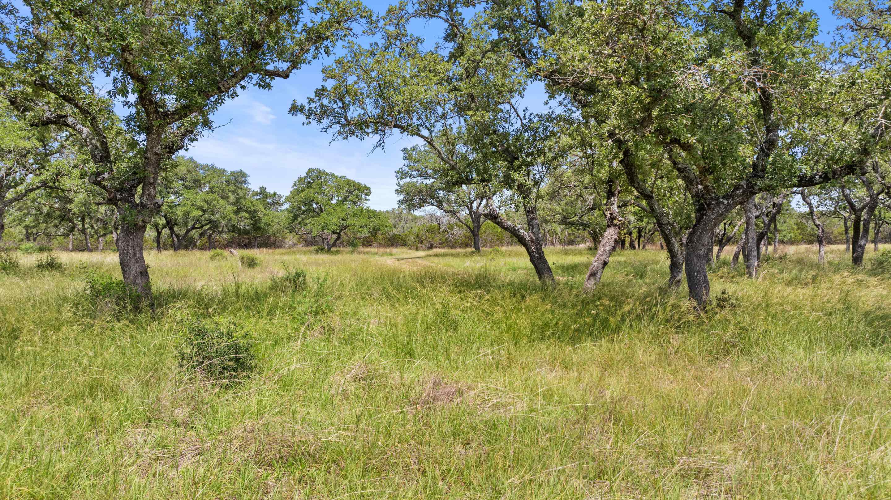 1241 Sandy Oaks Ranch Road Johnson City TX 78636