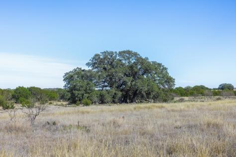 Lot 2 Bluestem Lane Lampasas TX 76550
