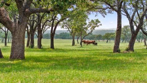 3431 Klett Ranch Road Johnson City TX 78636