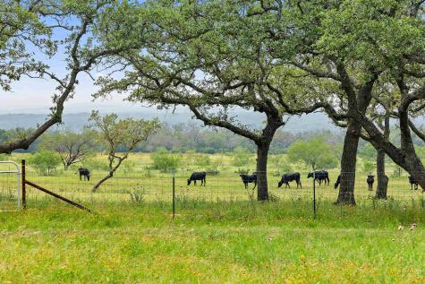 3431 Klett Ranch Road Johnson City TX 78636