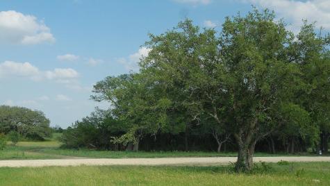 Tbd Lot 5 County Road 210 Bertram TX 78605