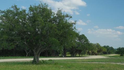 Tbd Lot 5 County Road 210 Bertram TX 78605