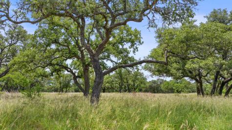 997 Sandy Oaks Ranch Road Johnson City TX 78636