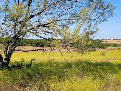 Tract 1 Cr 207 Burnet TX 78611