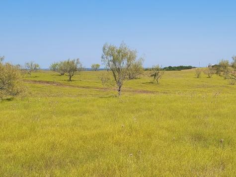 Tract 1 Cr 207 Burnet TX 78611