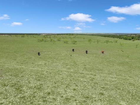 Tract 1 Cr 207 Burnet TX 78611