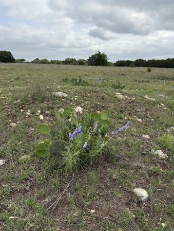 5341 County Road 236 Liberty Hill TX 78642