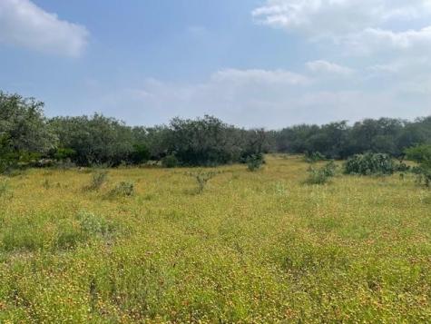 2308 County Road 414 Spicewood TX 78669
