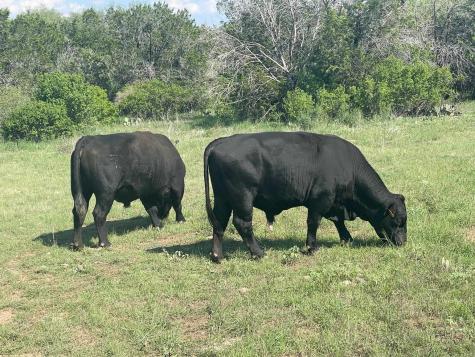 2308 County Road 414 Spicewood TX 78669