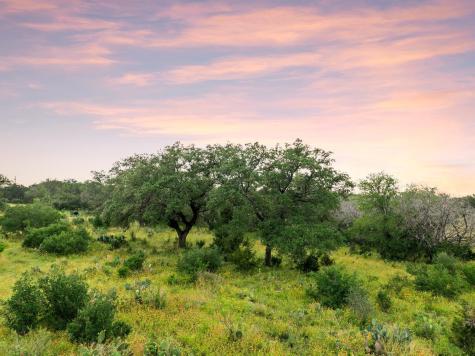 2308 County Road 414 Spicewood TX 78669