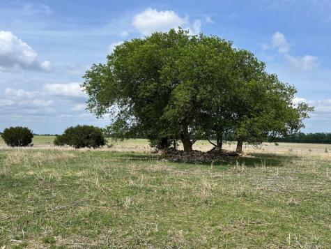 000 County Road 269 Out of Area TX 76561