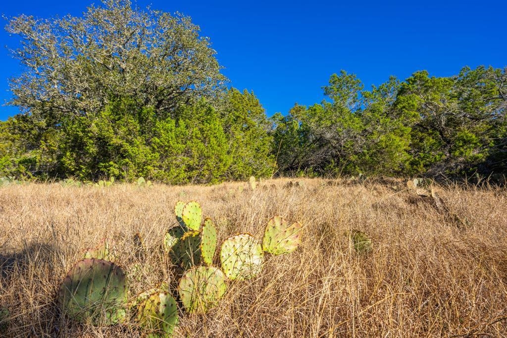 4772 County Road 340 Burnet TX 76905