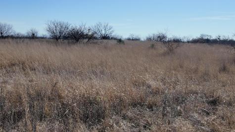 204 Fm 2997 Richland Springs TX 76871