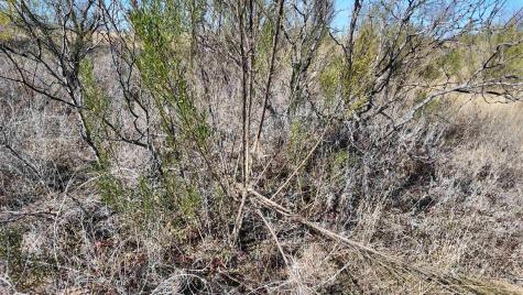 204 Fm 2997 Richland Springs TX 76871