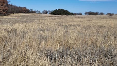 204 Fm 2997 Richland Springs TX 76871