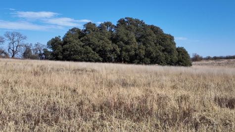 204 Fm 2997 Richland Springs TX 76871
