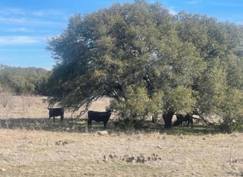 530 Cr 406 San Saba TX 76877