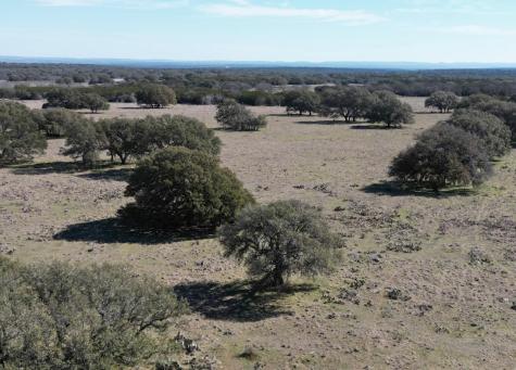 530 Cr 406 San Saba TX 76877