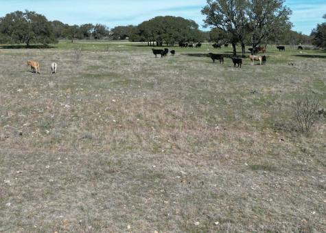 530 Cr 406 San Saba TX 76877