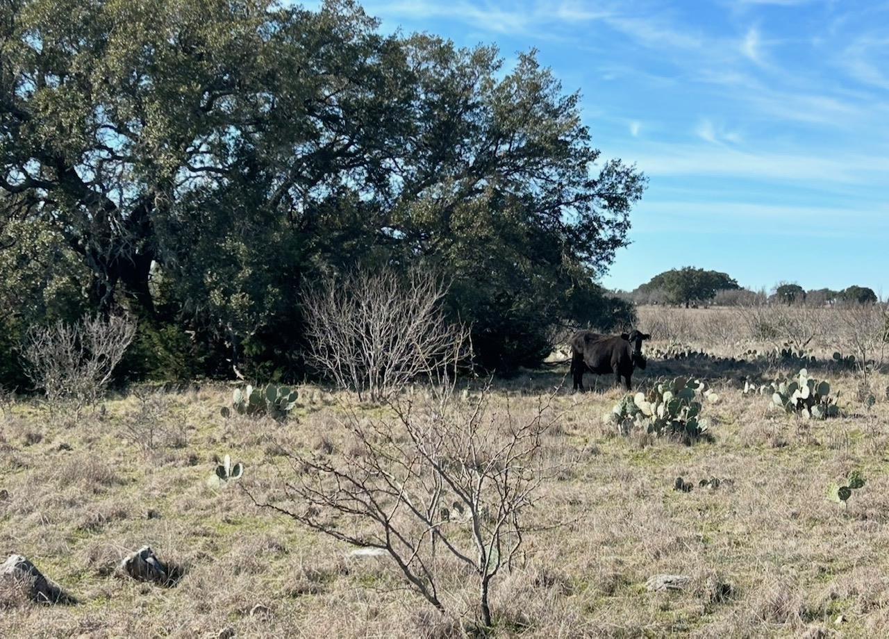 530 Cr 406 San Saba TX 76877