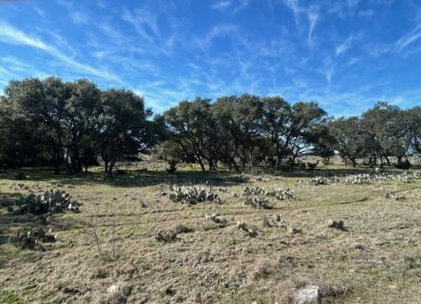 530 Cr 406 San Saba TX 76877