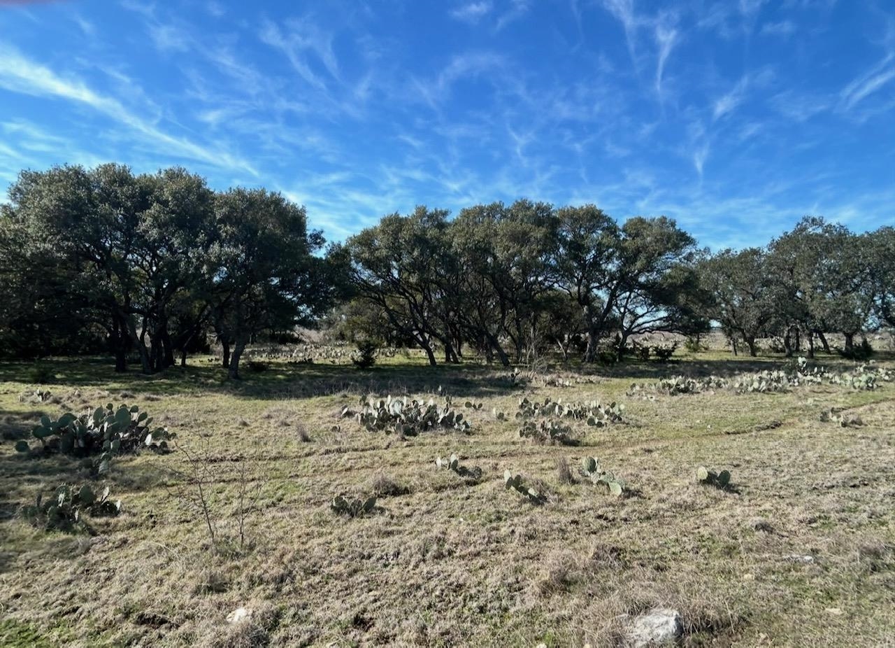 530 Cr 406 San Saba TX 76877