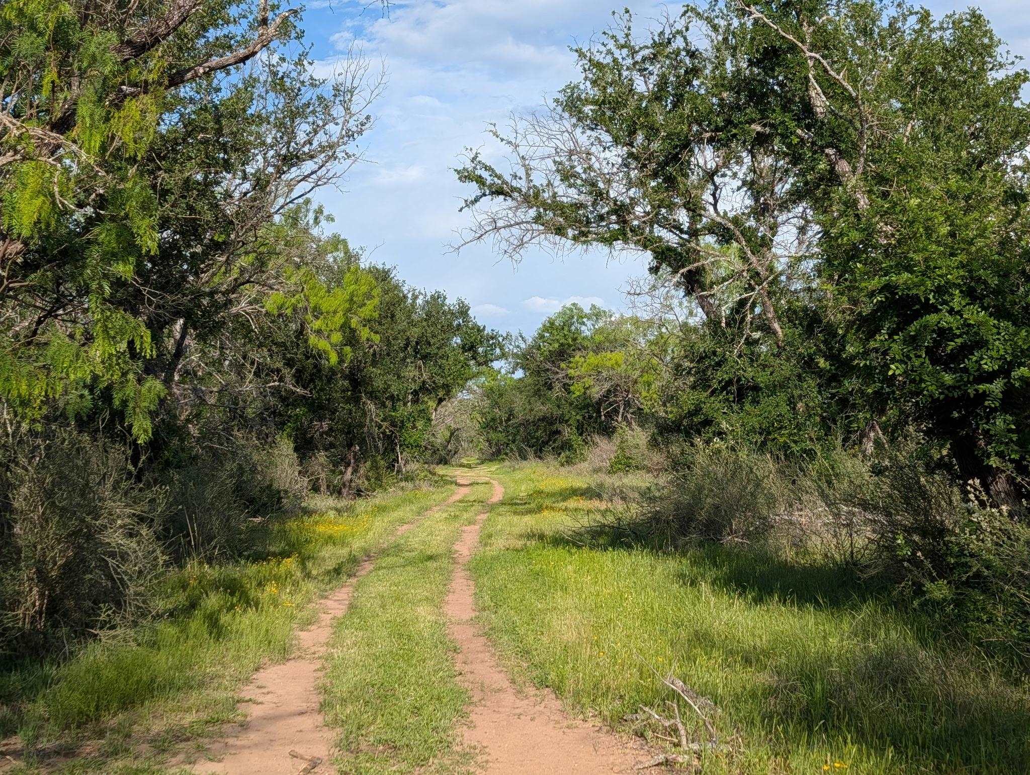 Tbd Fm 1980 Marble Falls TX 78654