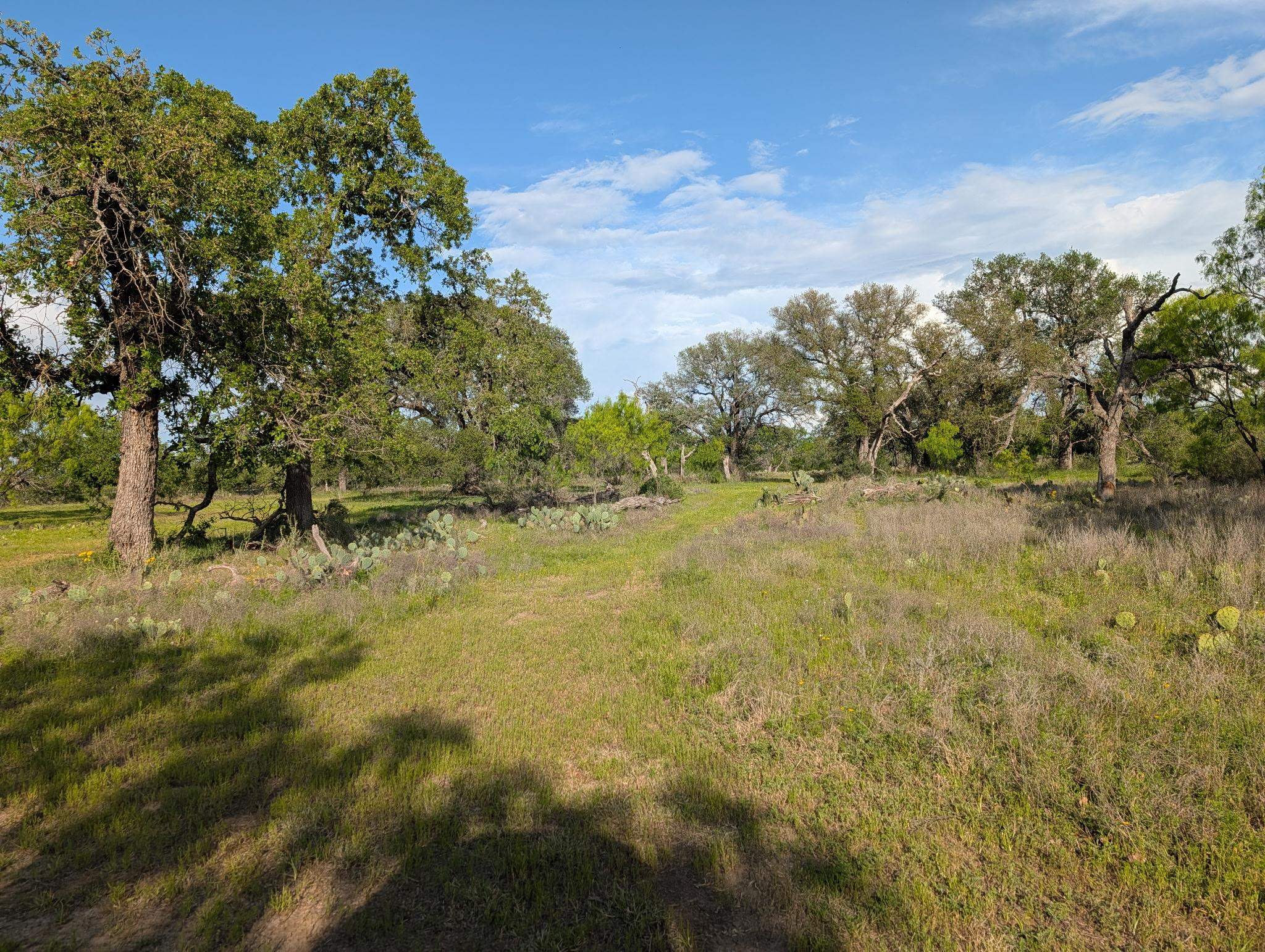 Tbd Fm 1980 Marble Falls TX 78654