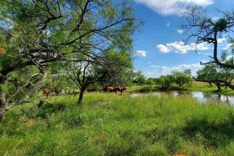 TBD Cr 411b Pontotoc TX 76869