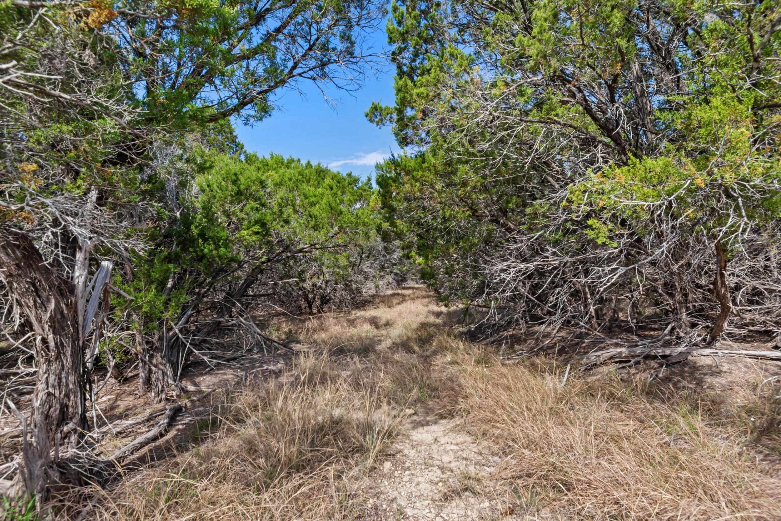 1292 Peak Lane Salado TX 76571