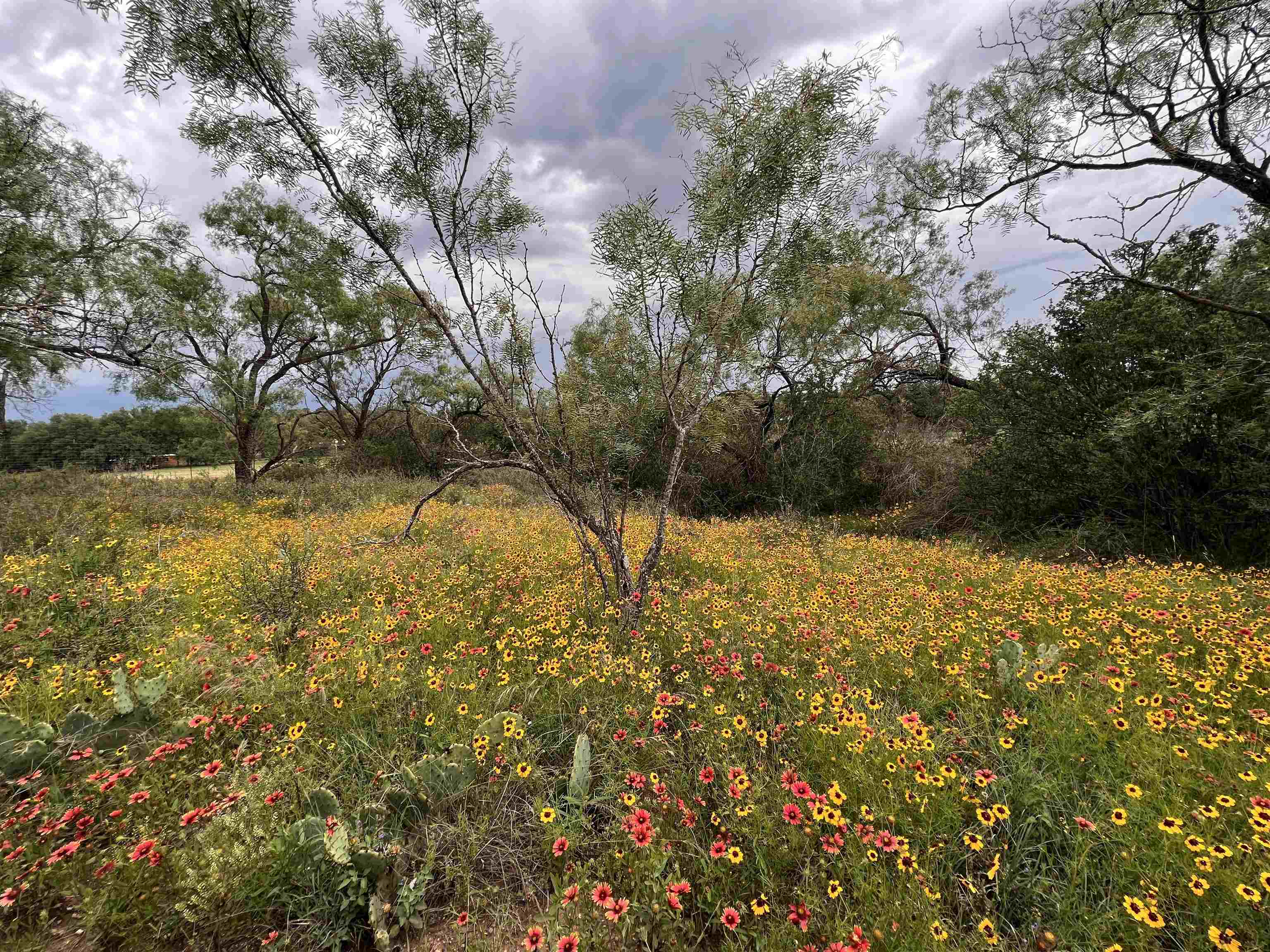 171 Cr 117 Llano TX 78643