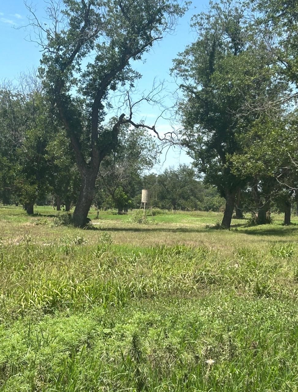 708 W Gunter Street San Saba TX 76871