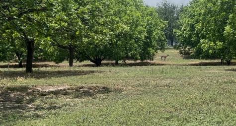 708 W Gunter Street San Saba TX 76871