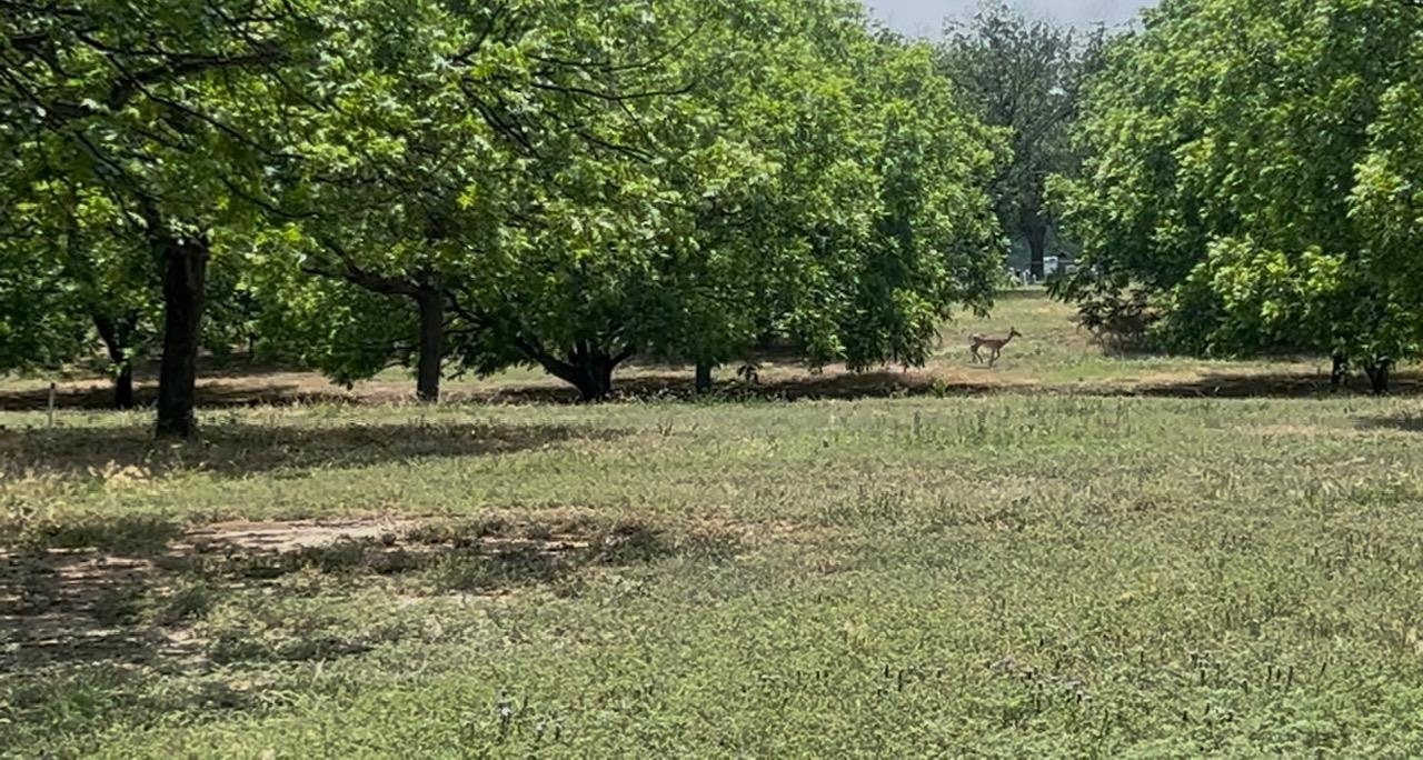 708 W Gunter Street San Saba TX 76871