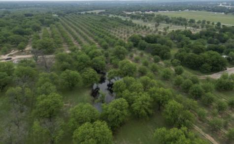 708 W Gunter Street San Saba TX 76871