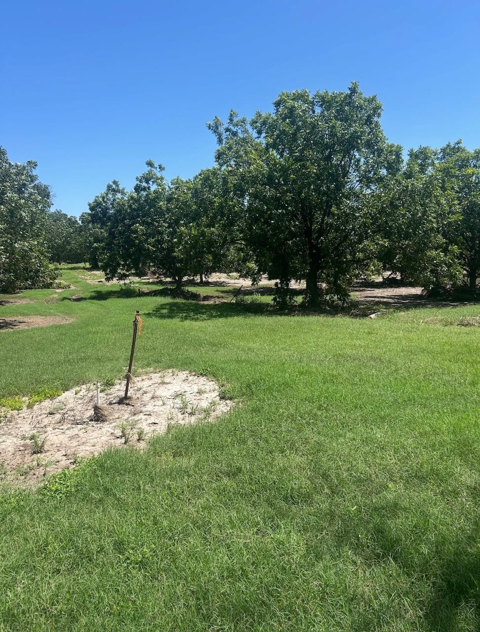 708 W Gunter Street San Saba TX 76871