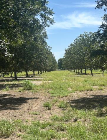 708 W Gunter Street San Saba TX 76871