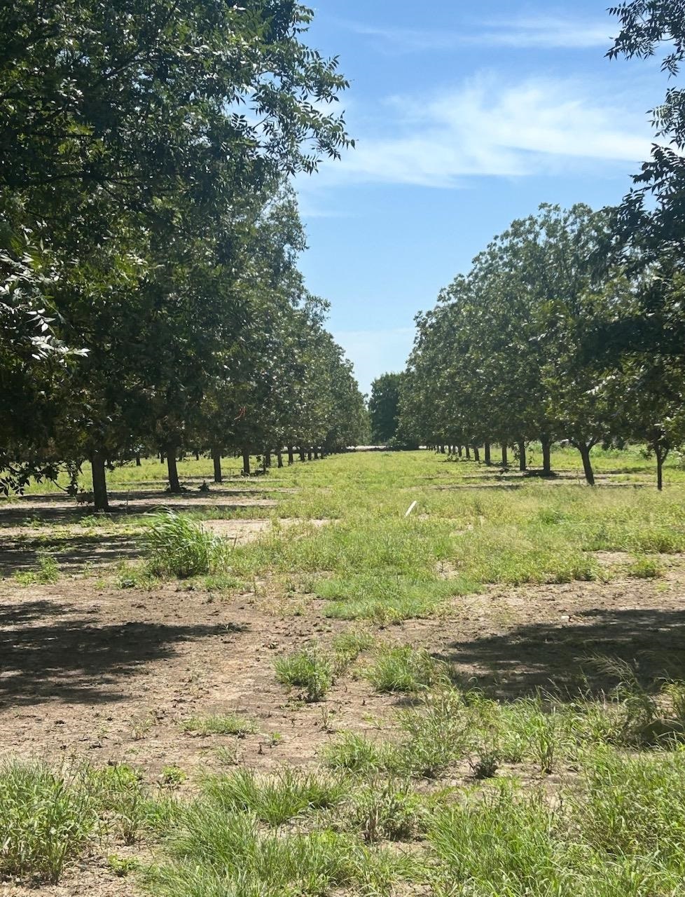 708 W Gunter Street San Saba TX 76871